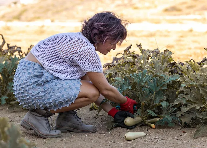 Estate Naxos - Private Hillside Estate
