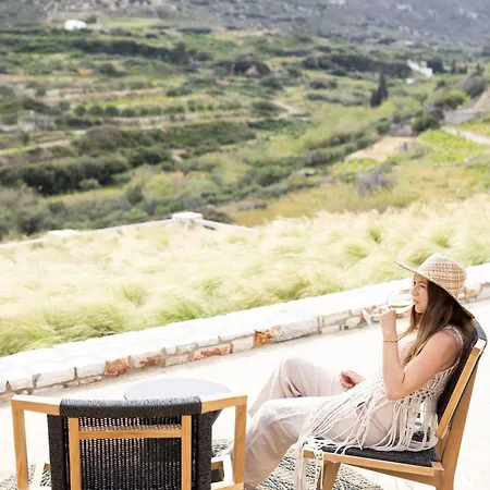 Villa Estate Naxos - Private Hillside Estate *