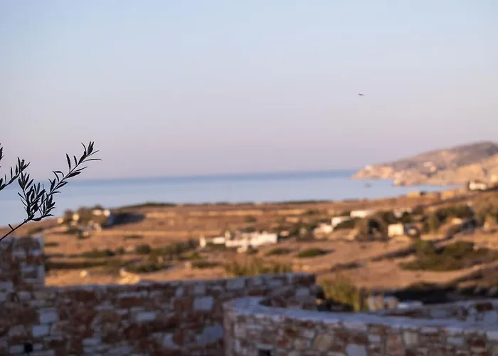 Estate Naxos - Private Hillside Estate Willa *