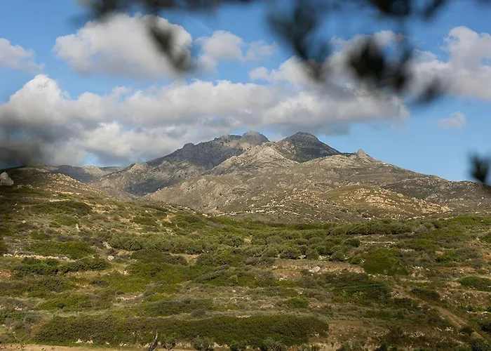 Willa Estate Naxos - Private Hillside Estate *