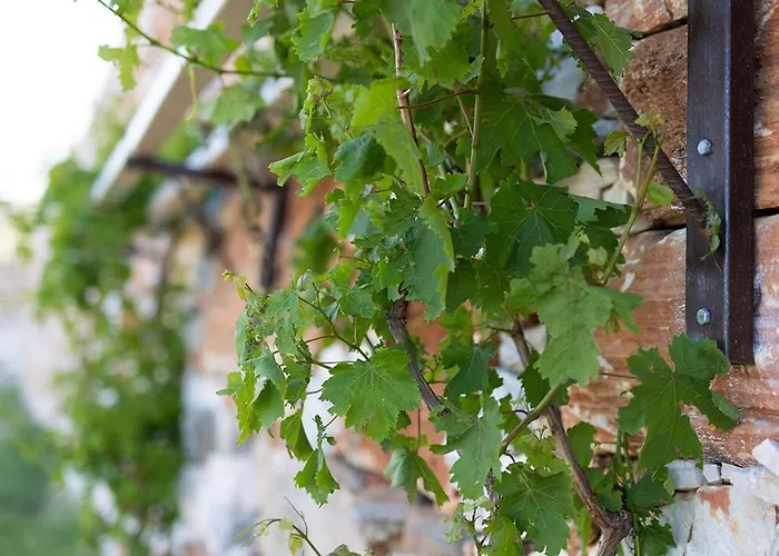 Estate Naxos - Private Hillside Estate Willa Akrotiri (Naxos)