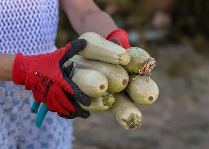 Estate Naxos - Private Hillside Estate * Akrotiri (Naxos)